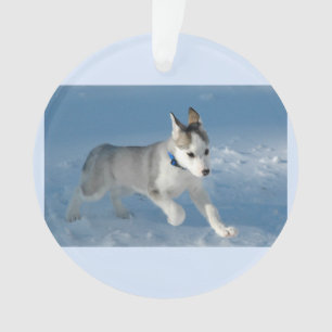 Welpe, die im Schnee läuft Ornament