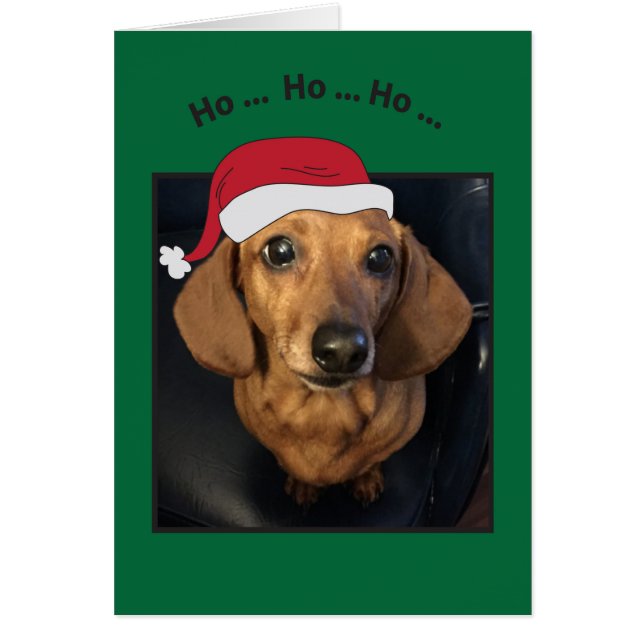 Welpe Dog Ho Ho Ho Weihnachtskarte (Vorne)