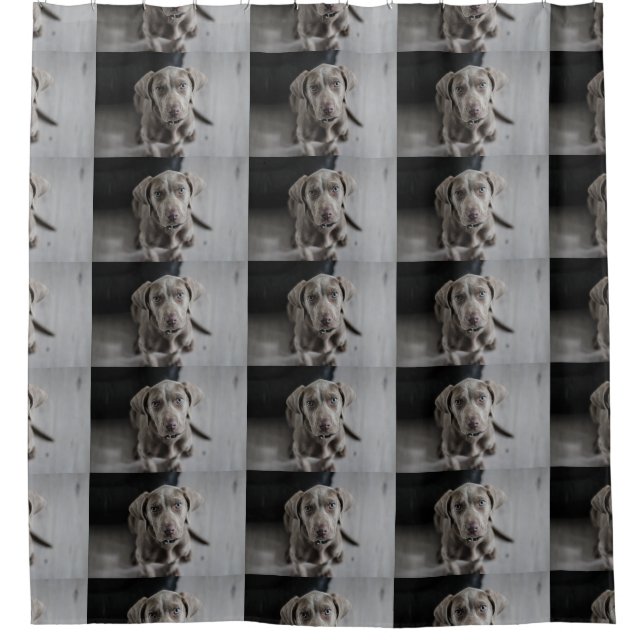 Welpe Duschvorhang (Vorderseite)
