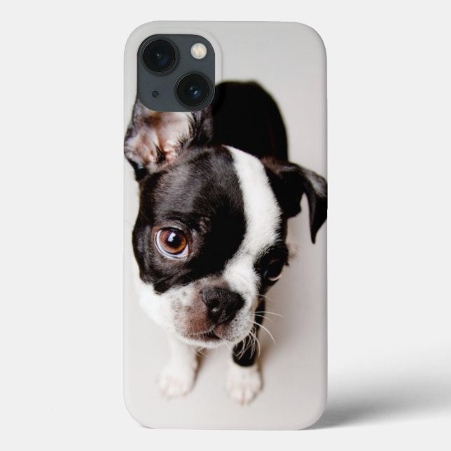 Welpe Edison Boston Terrier Case-Mate iPhone Hülle (Rückseite)