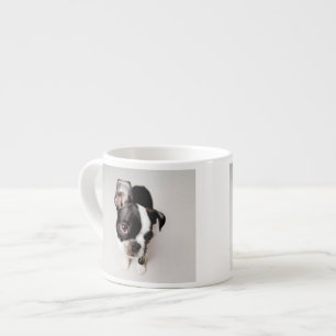 Welpe Edison Boston Terrier Espressotasse