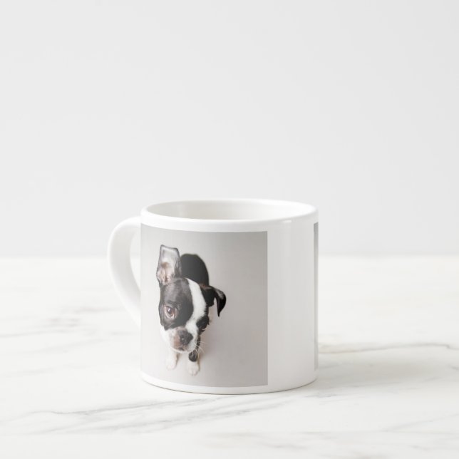 Welpe Edison Boston Terrier Espressotasse (Vorderseite Links)