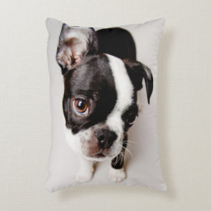 Welpe Edison Boston Terrier Zierkissen