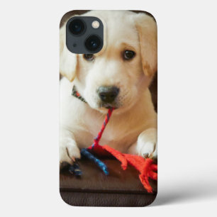 Welpe Getty Bild-  auf einem Sofa iPhone 13 Hülle