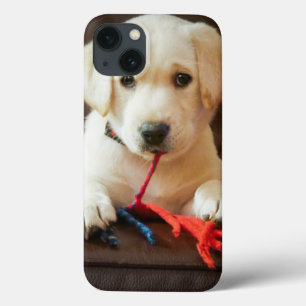 Welpe Getty Bild-  auf einem Sofa iPhone 13 Hülle