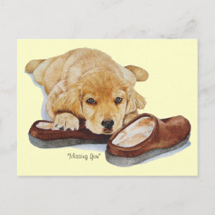 Welpe-Golden Retriever-Hundeportrait vermisst Postkarte