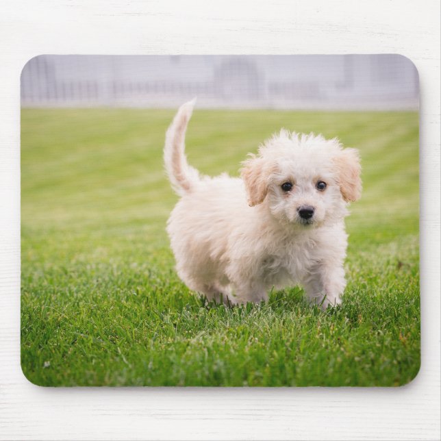 Welpe, Haustier, Hund Mousepad (Vorne)