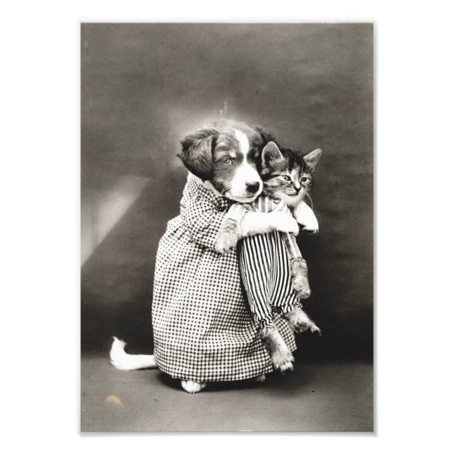 Welpe Holding Small Kitten Fotodruck (Vorne)