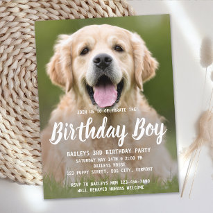 Welpe Hund Geburtstagsparty Niedliches Tier Foto E Postkarte