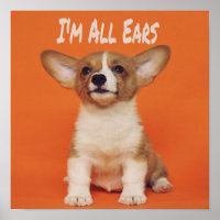 Welpe Hund ich bin ganz Ohr, Niedlich Meme