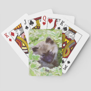 Welpe im Garten Malerei Original Kunst Spielkarten