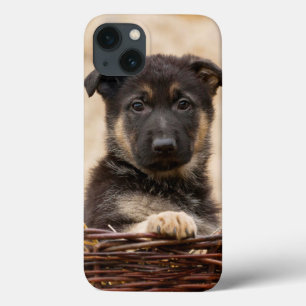 Welpe in Basket Case-Mate iPhone Hülle