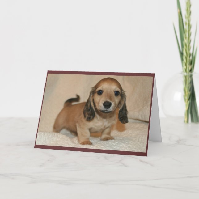 Welpe Karte (Vorderseite)