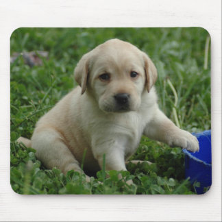 Welpe-Labrador-HDtapete Mousepad