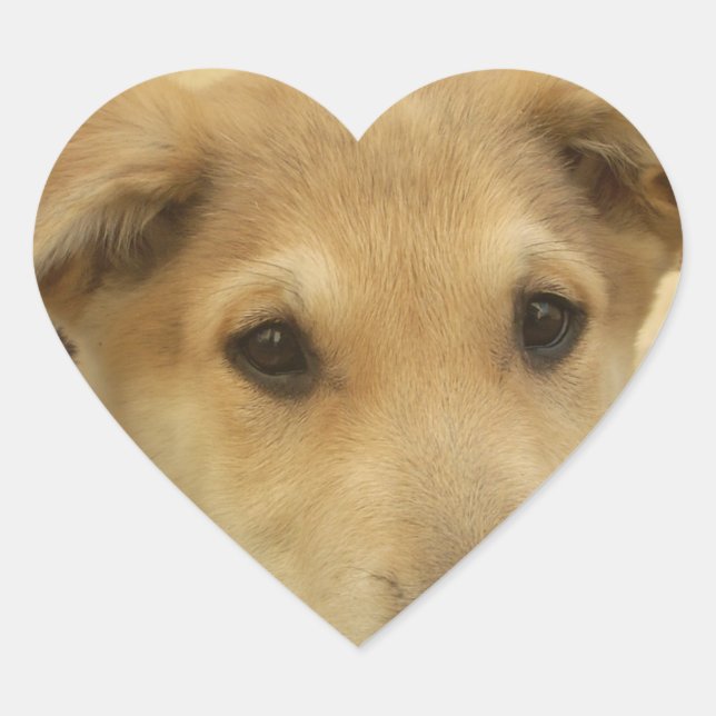 Welpe Liebe: Der beste Freund des Menschen Herz-Aufkleber (Vorderseite)