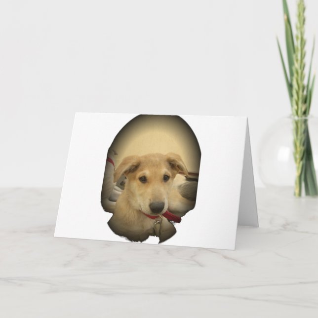 Welpe Liebe: Der beste Freund des Menschen Karte (Vorderseite)