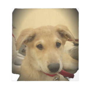 Welpe Liebe: Der beste Freund des Menschen Notizblock