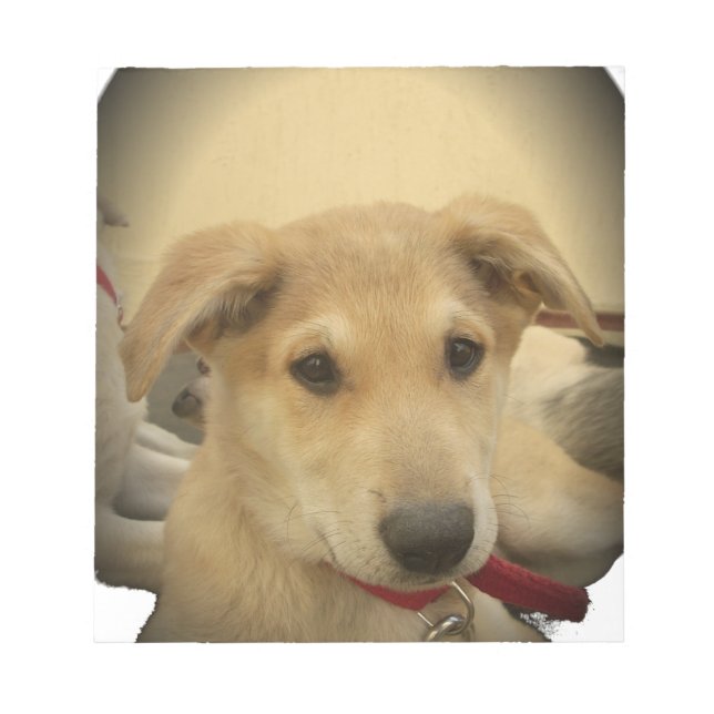 Welpe Liebe: Der beste Freund des Menschen Notizblock (Vorderseite)