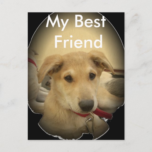Welpe Liebe: Der beste Freund des Menschen Postkarte (Vorderseite)