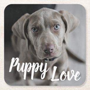 Welpe Liebe Niedlich Weimaraner Hund Rechteckiger Pappuntersetzer