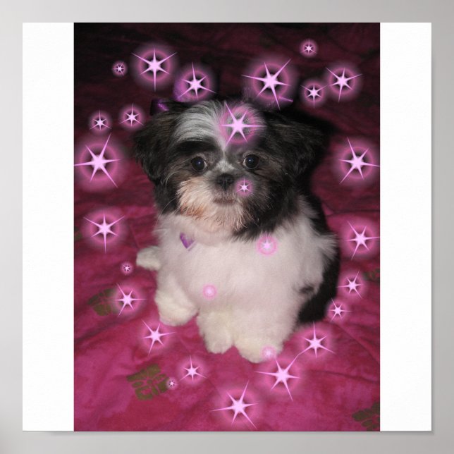 Welpe Liebe - Poster (Vorne)