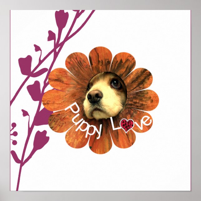 Welpe Liebe Poster (Vorne)