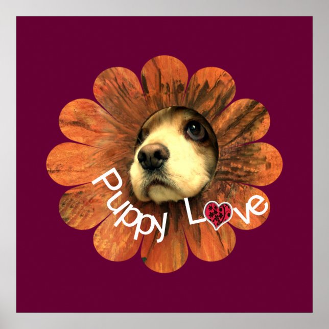 Welpe Liebe Poster (Vorne)