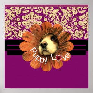 Welpe Liebe Poster