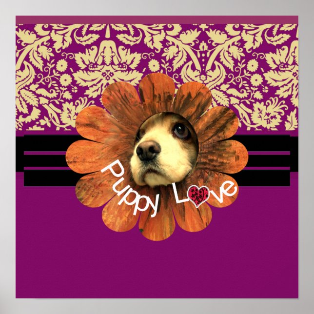 Welpe Liebe Poster (Vorne)