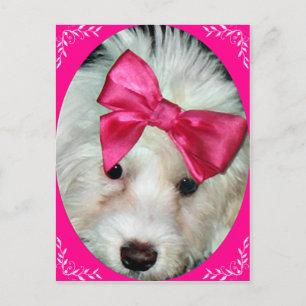 Welpe Liebe_ Postkarte