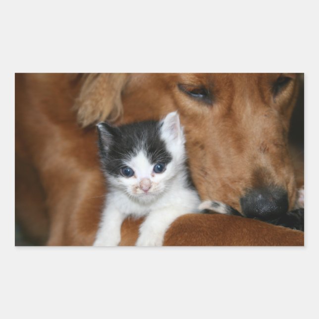 Welpe Liebe Rechteckiger Aufkleber (Vorderseite)