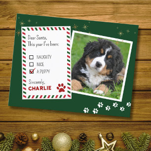 Welpe Lieber Weihnachten Weihnachtskarte Postkarte