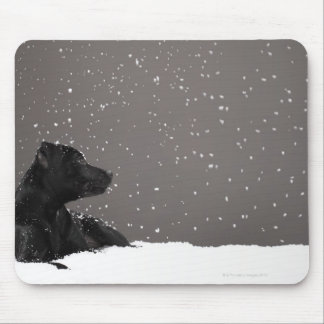 Welpe liegt im Schnee und sieht Schneeflocken zu Mousepad