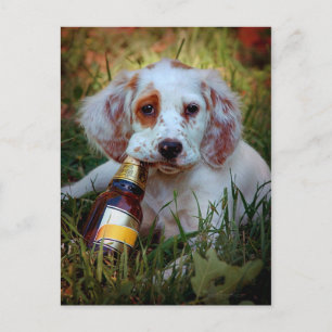 Welpe mit Bierflasche Postkarte