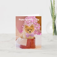 Welpe mit Bowtie Valentinstag