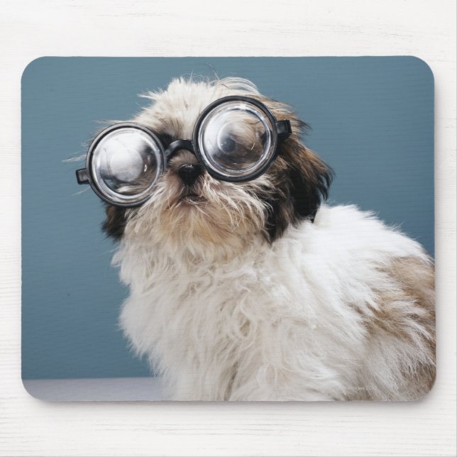 Welpe mit dicken Brillen Mousepad (Vorne)
