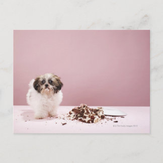 Welpe mit Kuchen auf dem Boden Postkarte