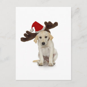 Welpe mit Weihnachtsmannmütze und Rentier Feiertagspostkarte
