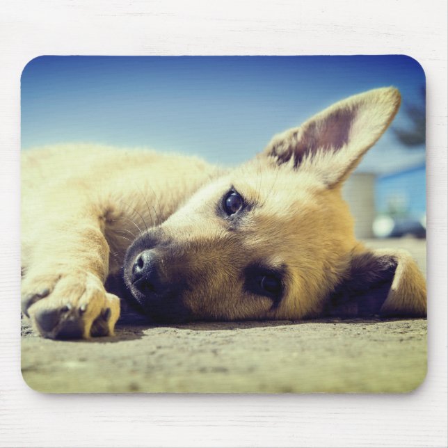 Welpe Mousepad (Vorne)