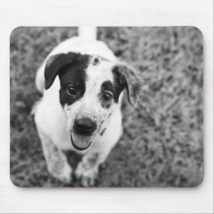 Welpe Mousepad
