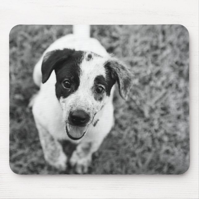 Welpe Mousepad (Vorne)