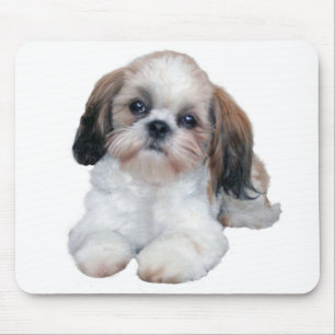 Welpe Mousepad Shih Tzu