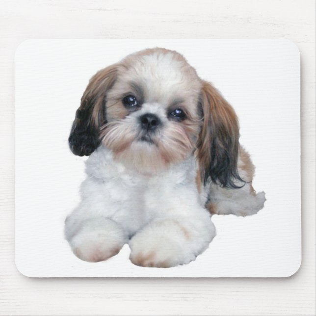 Welpe Mousepad Shih Tzu (Vorne)