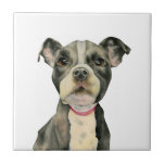 "Welpe mustert" Pitbull-HundeAquarell-Malerei Fliese<br><div class="desc">Dieses ist eine Aquarellmalerei eines Schwarzweiss-Pitbullwelpen. Es ist oben des Hundes mit großen hoffnungsvollen schauenden Augen ein nahes. Dieses wurde auf Arched heißem gepresstem Papier mit Daniel-Smith Watercolorfarben gemalt.</div>