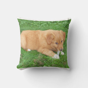 Welpe Nova Scotia Duck Tolling Retriever Kissen