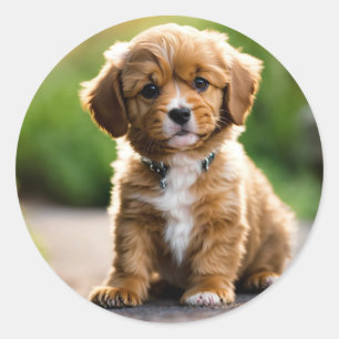 Welpe Runder Aufkleber