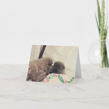 Welpe sieht sich im Spiegel