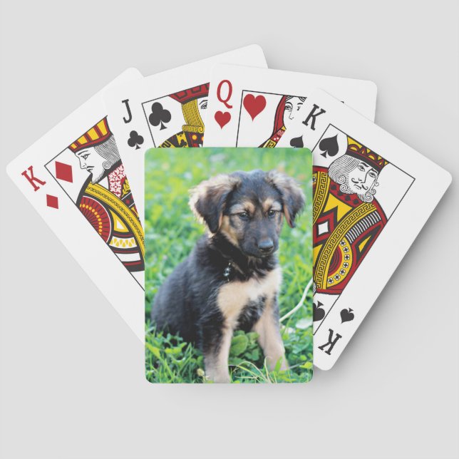 Welpe Spielkarten (Rückseite)