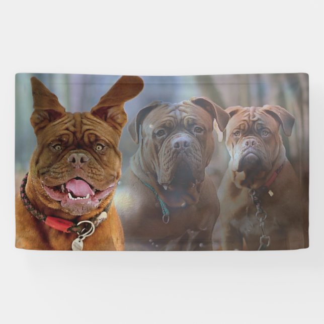 Welpe und Freunde Banner (Horizontal)