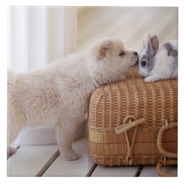 Welpe und Kaninchen Fliese (Vorderseite)